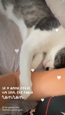 Se o amor fosse 