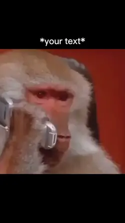 Monkey business