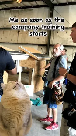 Training Videos 