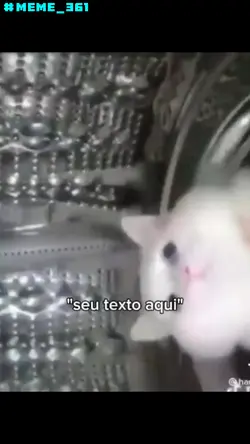gato challenge
