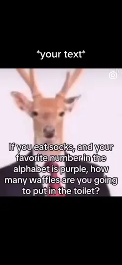 Deer