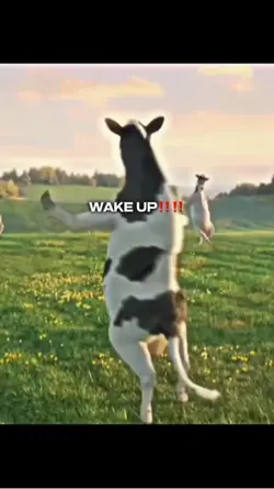 WAKE UP‼️‼️