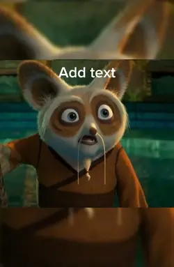 King fu panda