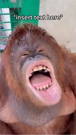 Monkey Fresh Ice 