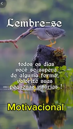 Motivacional 