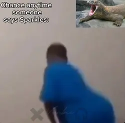 Sparkles x Chance 
