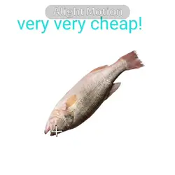 one pound fish 