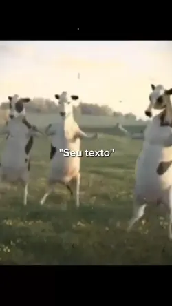 liberando vídeo 