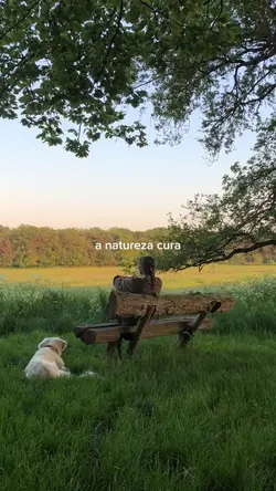 A natureza cura 🍃💚