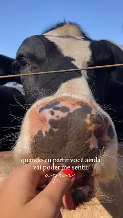 Quando eu partir…