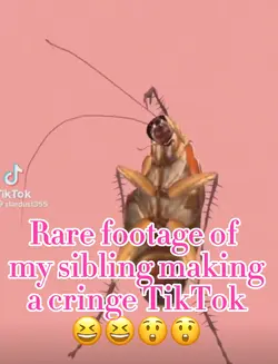 Rare footage of..