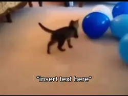 Cat balloon