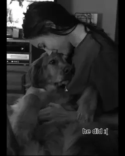 rest in peace:(