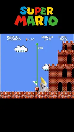 Super Mario Game