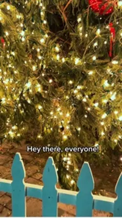 Christmas vibes 