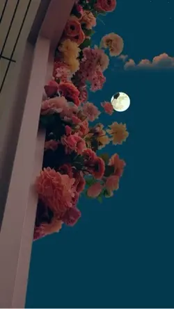 ❤️‍🩹🌻