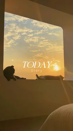 Today story