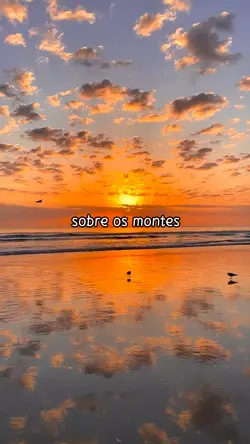 FRASES 🔥🔥✨