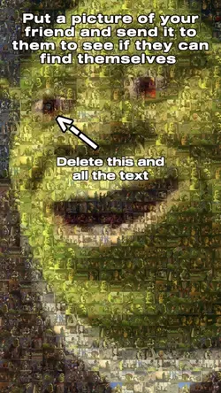 Shrek Friend Finder