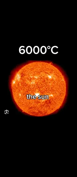 fun fact