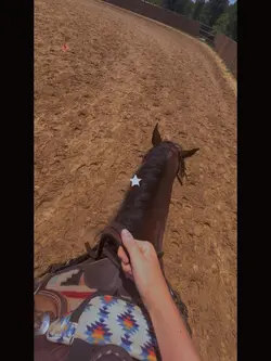 BARN SUMMER🫶