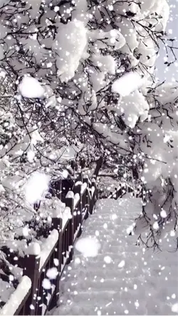 Slowmo snow