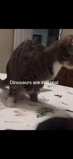 Dinosaurs