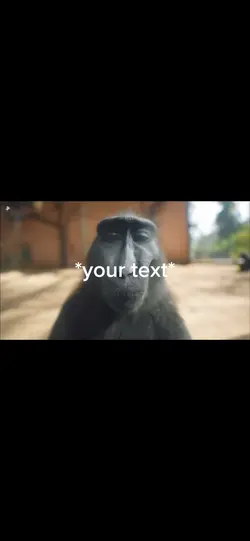 Monkey has w rizz