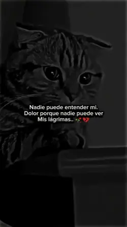 Frases sad