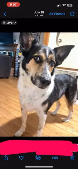 Side eye