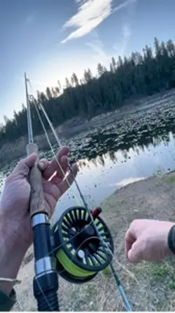 Fishing template