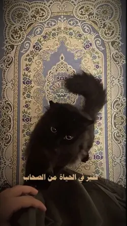 Arabic Nasheed 🎀