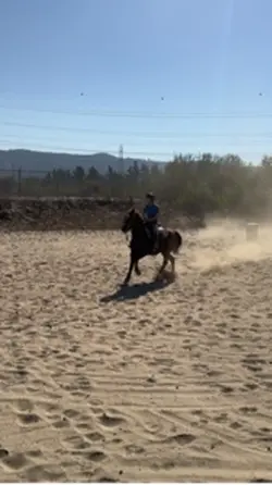 HOLY STRIDE