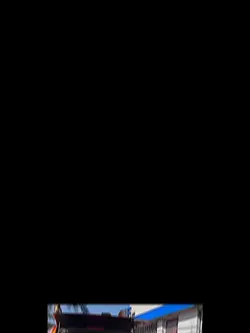 Bsf 