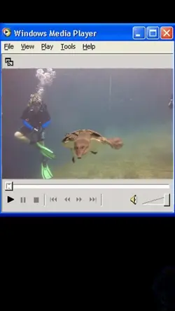 Windows Media Player