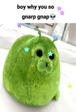 Seal seal seal