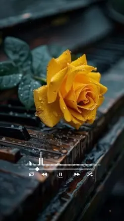 😍🥰