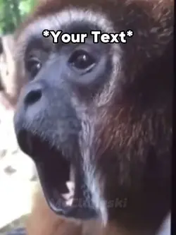 Monkey Meme