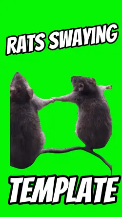 Rats Swaying
