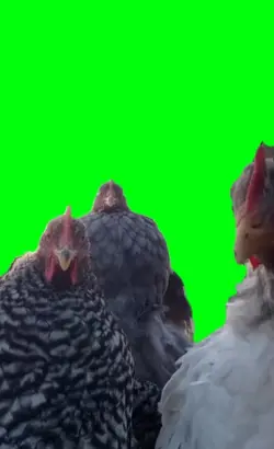 untill dawn chicken