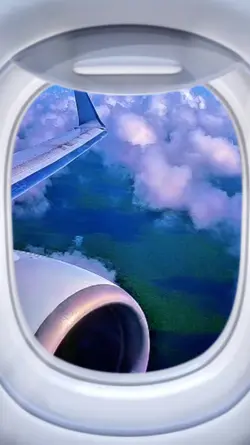 Fly away