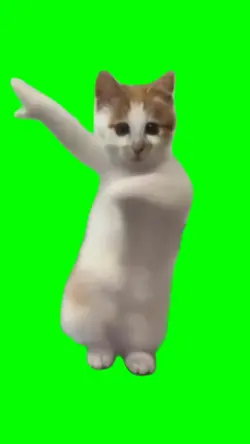 jimmy