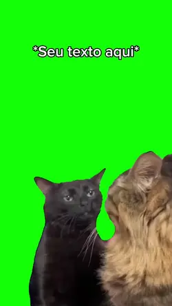 gato preto meme