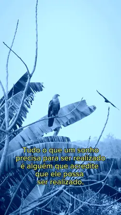 Sonhe