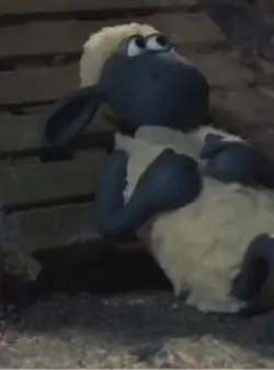 Sad sheep