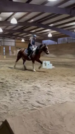 his canter 😻