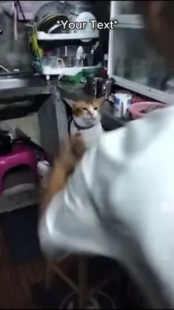 Cat Irritation 