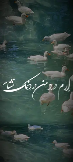 Best