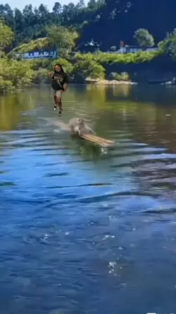 MONKEY DRIVING