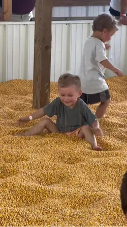 Pumpkin Patch
